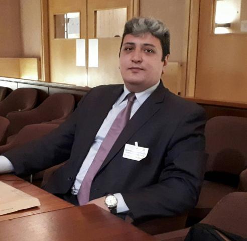 علاء شلبى رئيس المنظمة العربية لحقوق الإنسان