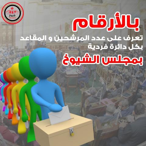 إنفوجراف.. بالارقام المرشحين والمقاعد بكل دائرة فردية بانتخابات مجلس الشيوخ