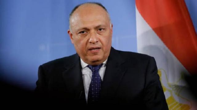 سامح شكرى وزير الخارجيه