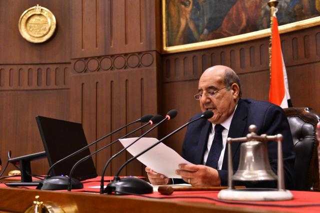 بطريرك الأقباط الكاثوليك يهنئ عبدالوهاب عبدالرازق برئاسة مجلس الشيوخ