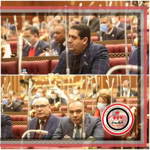 بالصور: مشاركة النائبان وليد التمامي ومحمد ابوحجازي خلال الجلسة العامة لمجلس الشيوخ لإستكمال مناقشة قانون العمل